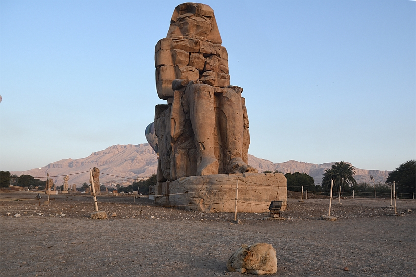 07 MAK_5919.jpg - La funzione originale dei Colossi era di stare a guardia dell'entrata del tempio: un gigantesco centro di culto costruito quando il faraone era ancora in vita, ma con l'eccezione dei Colossi, pochissimo di questo tempio è rimasto visibile.